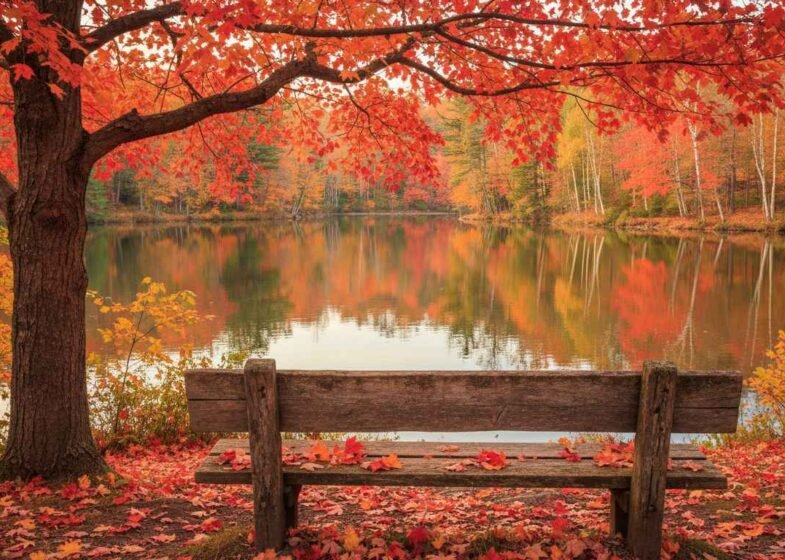 best place to visit during the fall