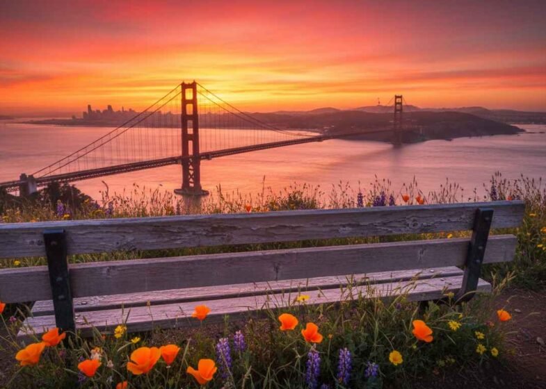 unique places to visit in bay area